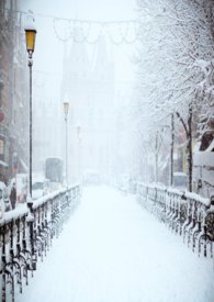 融雪剂多少钱一吨