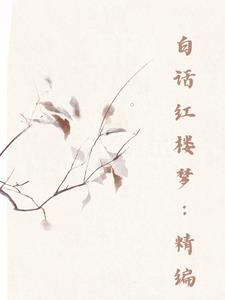 白话红楼02